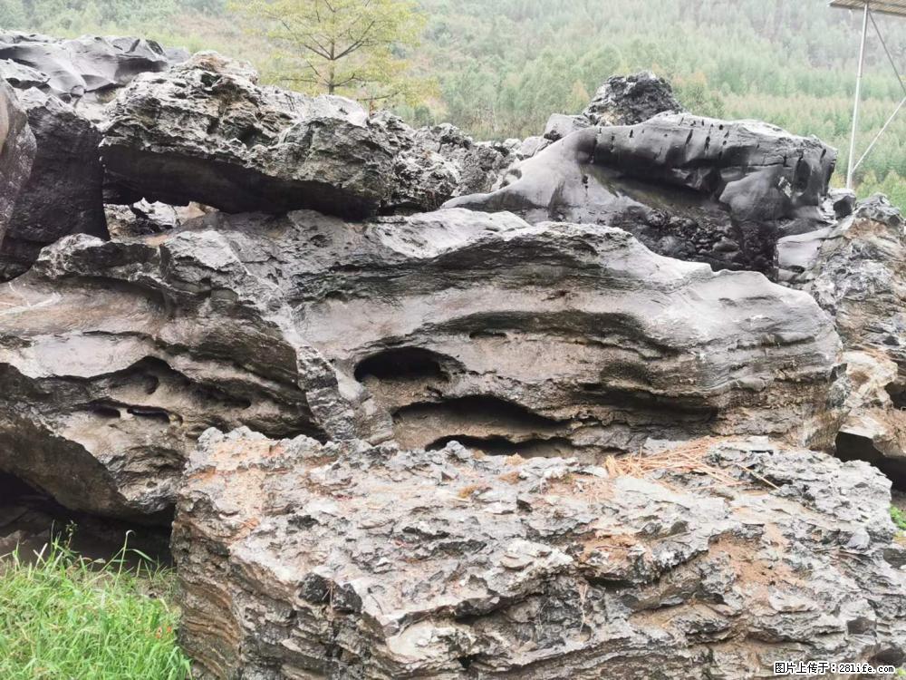 风景石、假山石大量有货，有需要的欢迎联系 - 新手上路 - 襄樊生活社区 - 襄樊28生活网 xf.28life.net