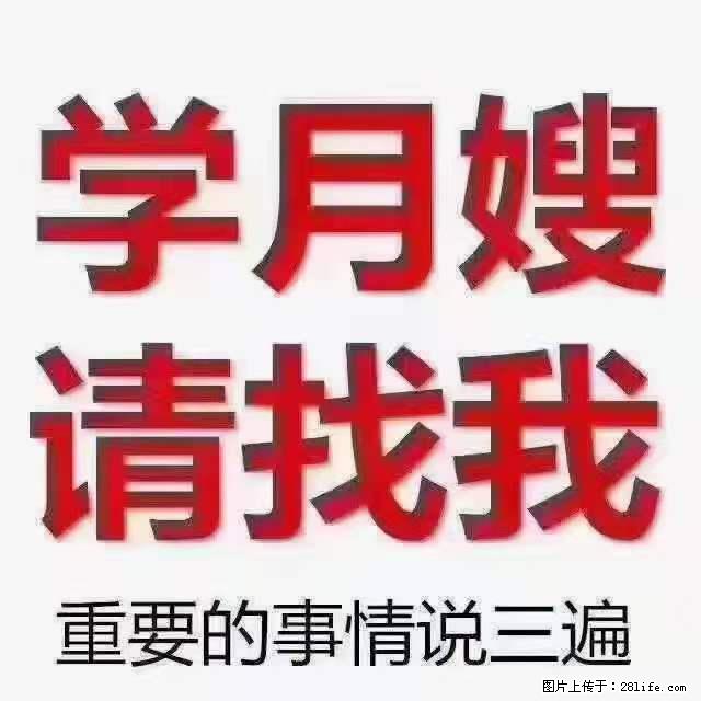 为什么要学习月嫂，育婴师？ - 新手上路 - 襄樊生活社区 - 襄樊28生活网 xf.28life.net