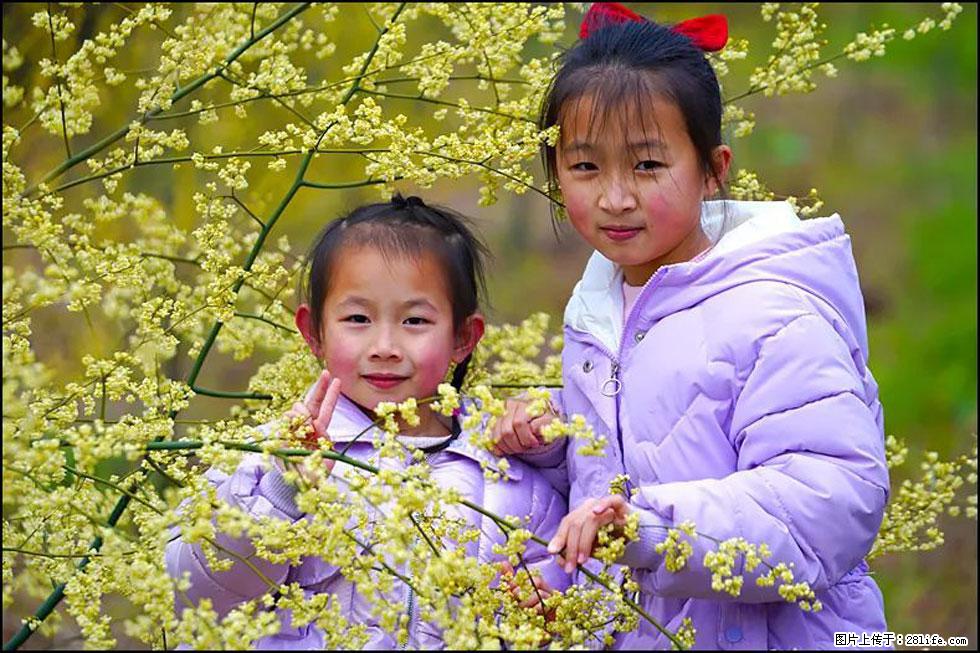 【春天，广西桂林灌阳县向您发出邀请！】米珠山前有片山苍子花在飘香 - 游山玩水 - 襄樊生活社区 - 襄樊28生活网 xf.28life.net