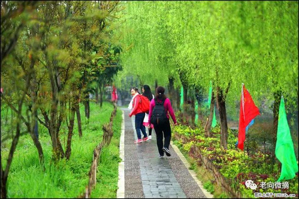 【春天，广西桂林灌阳县向您发出邀请！】江口老街又逢春 - 游山玩水 - 襄樊生活社区 - 襄樊28生活网 xf.28life.net