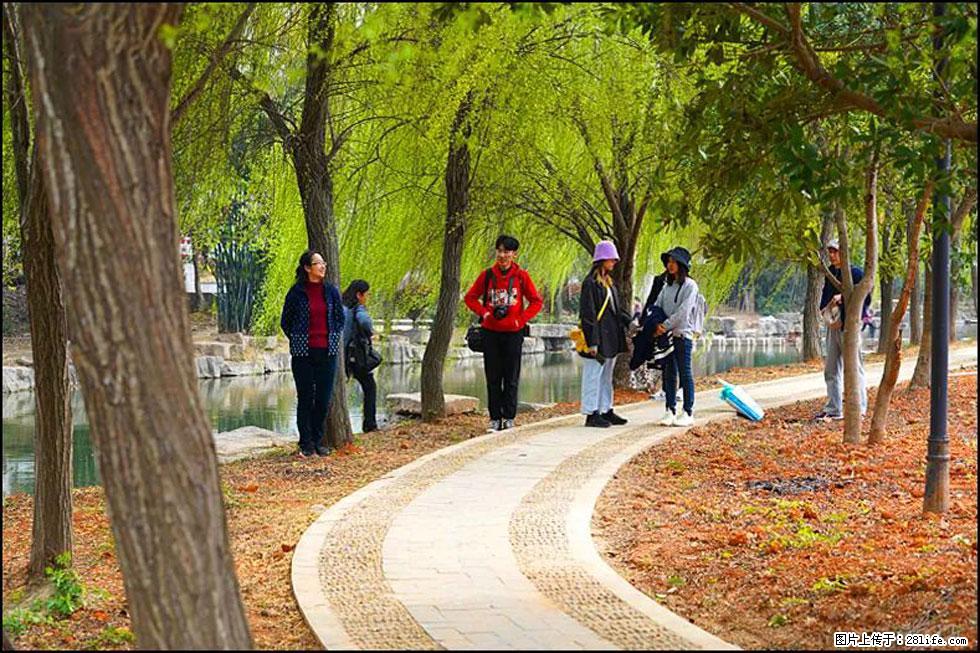 【春天，广西桂林灌阳县向您发出邀请！】江口老街又逢春 - 游山玩水 - 襄樊生活社区 - 襄樊28生活网 xf.28life.net