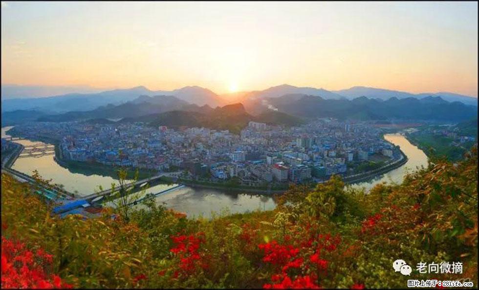 【春天，广西桂林灌阳县向您发出邀请！】登麒麟山，相约映山红 - 游山玩水 - 襄樊生活社区 - 襄樊28生活网 xf.28life.net