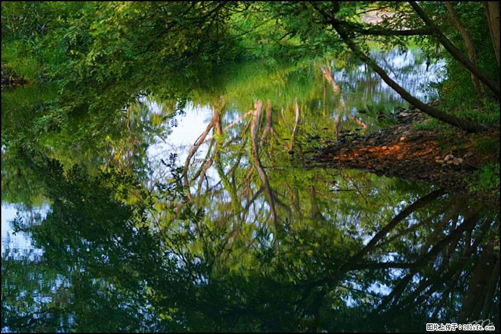 【春天，广西桂林灌阳县向您发出邀请！】熊家寨湿地公园 - 游山玩水 - 襄樊生活社区 - 襄樊28生活网 xf.28life.net