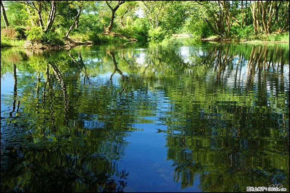 【春天，广西桂林灌阳县向您发出邀请！】熊家寨湿地公园 - 游山玩水 - 襄樊生活社区 - 襄樊28生活网 xf.28life.net