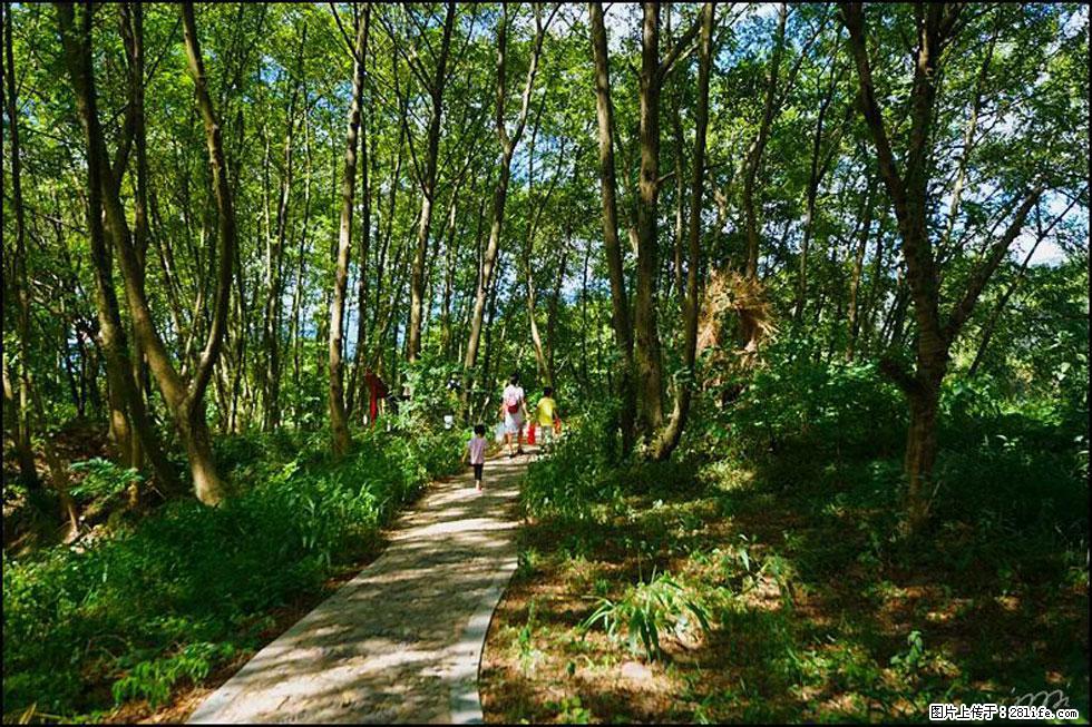【春天，广西桂林灌阳县向您发出邀请！】熊家寨湿地公园 - 游山玩水 - 襄樊生活社区 - 襄樊28生活网 xf.28life.net