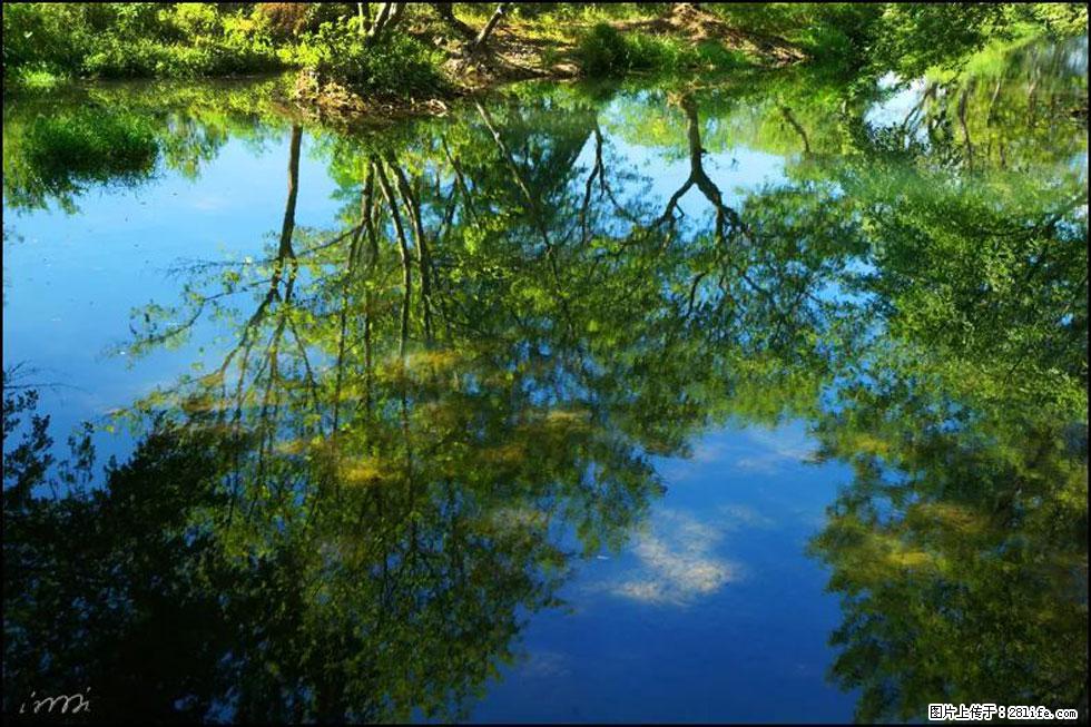 【春天，广西桂林灌阳县向您发出邀请！】熊家寨湿地公园 - 游山玩水 - 襄樊生活社区 - 襄樊28生活网 xf.28life.net