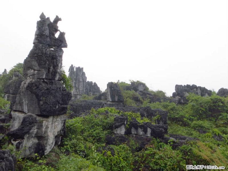 桂林旅游名城景点：灌阳文市石林 - 游山玩水 - 襄樊生活社区 - 襄樊28生活网 xf.28life.net