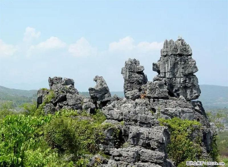 桂林旅游名城景点：灌阳文市石林 - 游山玩水 - 襄樊生活社区 - 襄樊28生活网 xf.28life.net