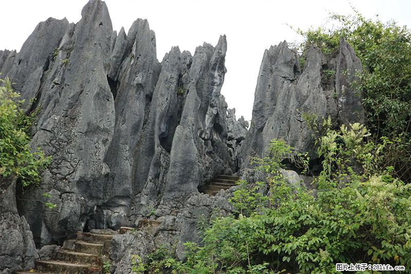 桂林旅游名城景点：灌阳文市石林 - 游山玩水 - 襄樊生活社区 - 襄樊28生活网 xf.28life.net