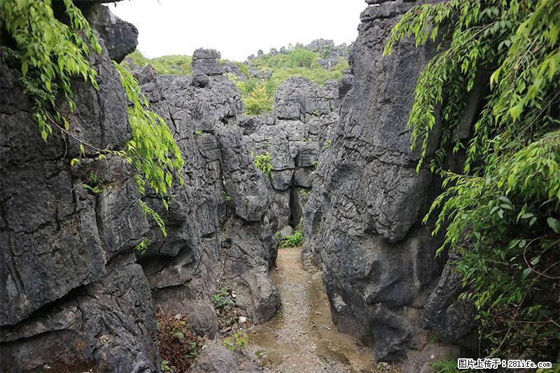 桂林旅游名城景点：灌阳文市石林 - 游山玩水 - 襄樊生活社区 - 襄樊28生活网 xf.28life.net