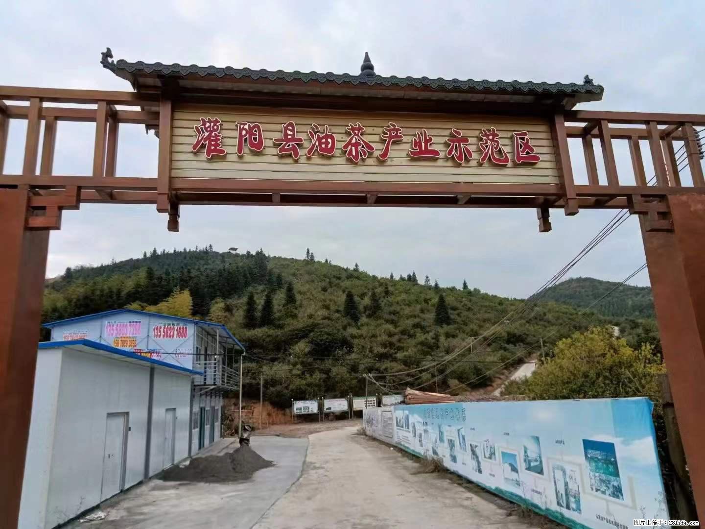 【灌阳县油茶产业示范区】一个有着充实的精神生活的人，对待身外之物自会有一种淡泊的态度 - 土特产 - 饮食特产 - 襄樊分类信息 - 襄樊28生活网 xf.28life.net