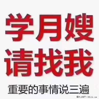 为什么要学习月嫂，育婴师？ - 襄樊28生活网 xf.28life.net