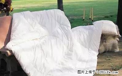 被子有异味？只要这样做，比晒太阳还强100倍！ - 家居生活 - 襄樊生活社区 - 襄樊28生活网 xf.28life.net