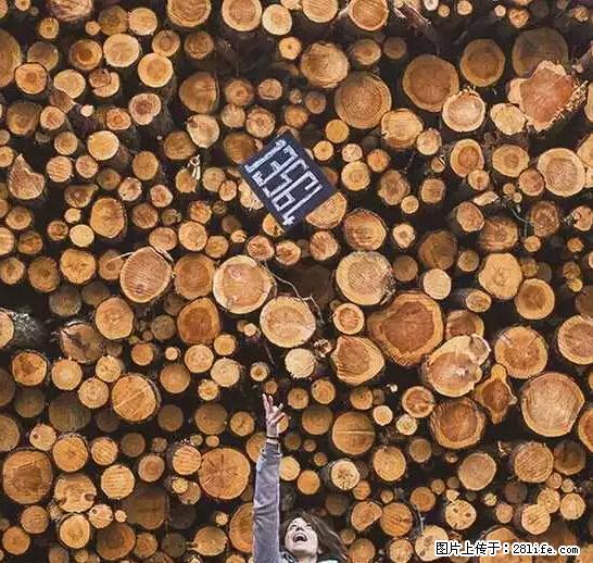 辞掉工作周游世界？现在他们在洗厕所…… - 游山玩水 - 襄樊生活社区 - 襄樊28生活网 xf.28life.net