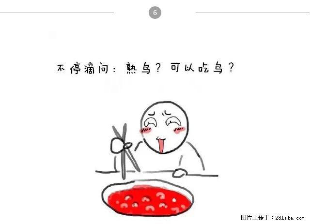 千万不要和这9种哈卵一起吃火锅！ - 美食天地 - 襄樊生活社区 - 襄樊28生活网 xf.28life.net