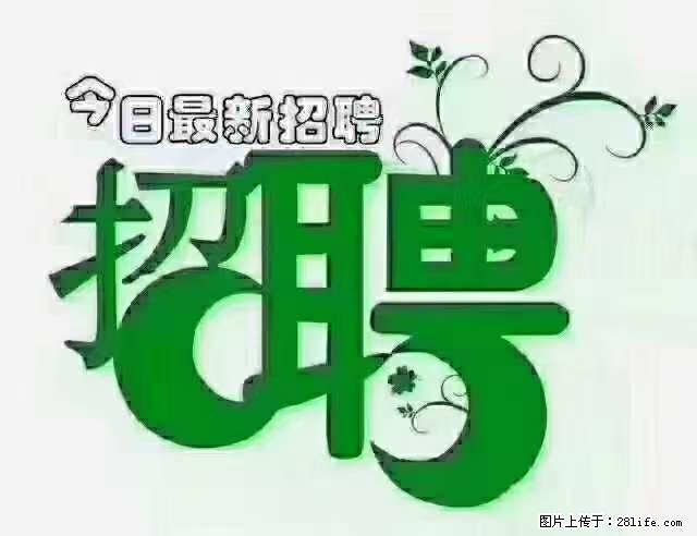 上海隔离酒店招人：55岁以下 男女不限 - 职场交流 - 襄樊生活社区 - 襄樊28生活网 xf.28life.net