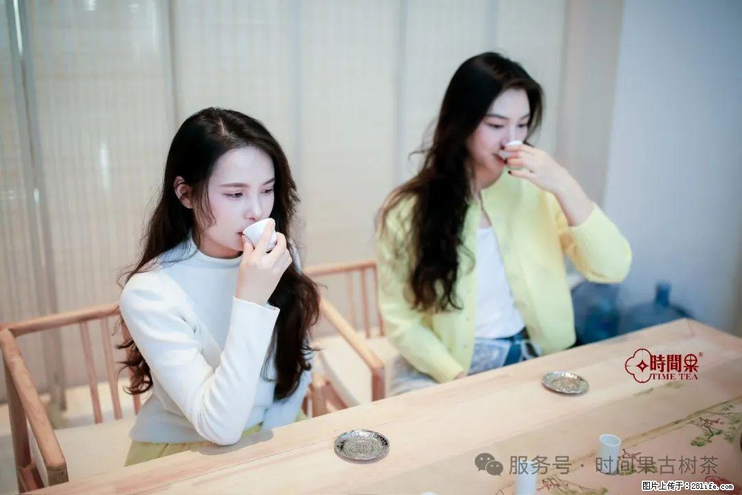 时间果百年古树龙珠普洱生茶 - 购物交流 - 襄樊生活社区 - 襄樊28生活网 xf.28life.net
