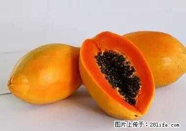 晕车、脚气、牙齿变黄、皮肤粗糙？学会这些三分钟搞定！ - 襄樊生活资讯 - 襄樊28生活网 xf.28life.net