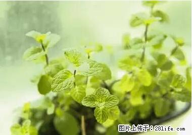 晕车、脚气、牙齿变黄、皮肤粗糙？学会这些三分钟搞定！ - 襄樊生活资讯 - 襄樊28生活网 xf.28life.net