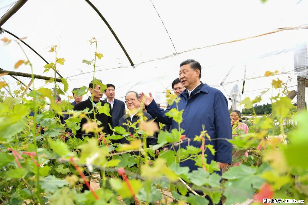 习近平赴广西考察调研 - 襄樊生活资讯 - 襄樊28生活网 xf.28life.net