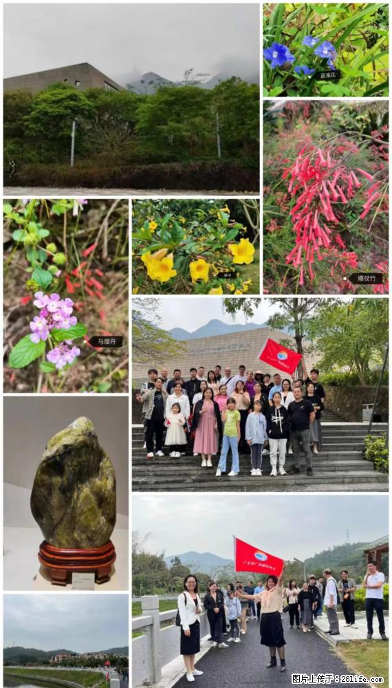 “粤灌文化 美好生活”油茶文化主题活动在广东深圳成功举办 - 襄樊生活资讯 - 襄樊28生活网 xf.28life.net