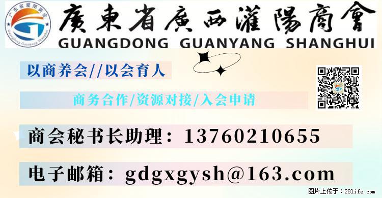 “粤灌文化 美好生活”油茶文化主题活动在广东深圳成功举办 - 襄樊生活资讯 - 襄樊28生活网 xf.28life.net