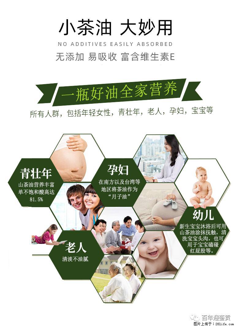 世界没有真相，只有认知，最好的食用油是中国的山茶油！ - 襄樊生活资讯 - 襄樊28生活网 xf.28life.net