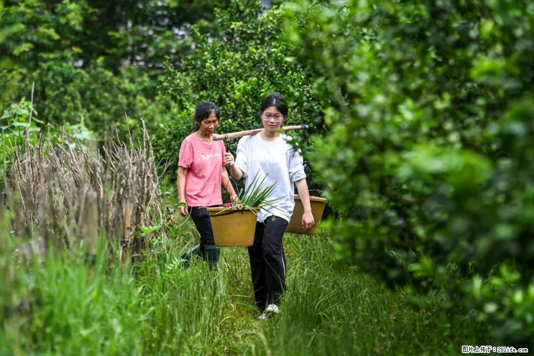 全网追的“扁担女孩”，找了一份暑假工，时薪12元 - 襄樊生活资讯 - 襄樊28生活网 xf.28life.net