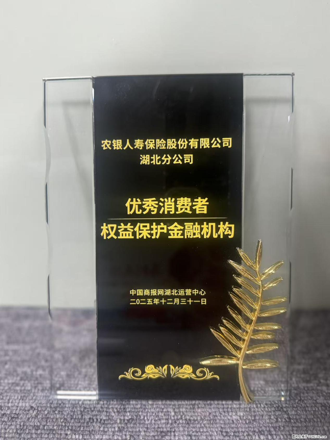 农银人寿湖北分公司荣获中国商报网颁发2025年度“优秀消费者权益保护金融机构” - 襄樊生活资讯 - 襄樊28生活网 xf.28life.net