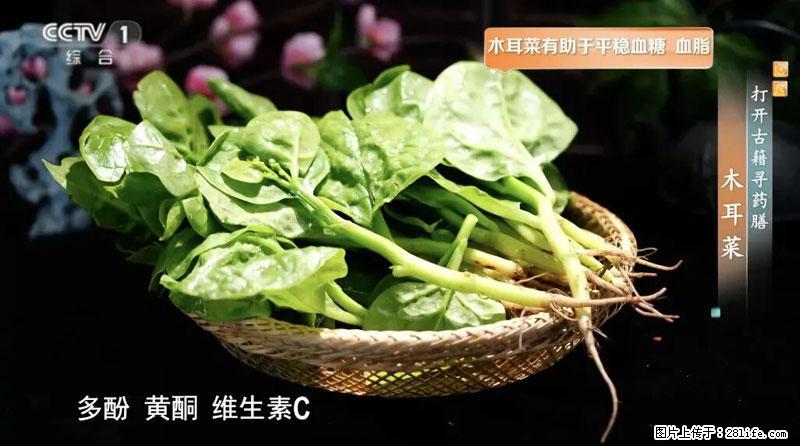 比牛奶补钙还厉害！凉血解毒、稳血糖...这菜冬天必吃，很多人却当草 - 襄樊生活资讯 - 襄樊28生活网 xf.28life.net