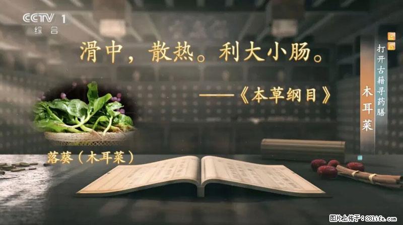 比牛奶补钙还厉害！凉血解毒、稳血糖...这菜冬天必吃，很多人却当草 - 襄樊生活资讯 - 襄樊28生活网 xf.28life.net
