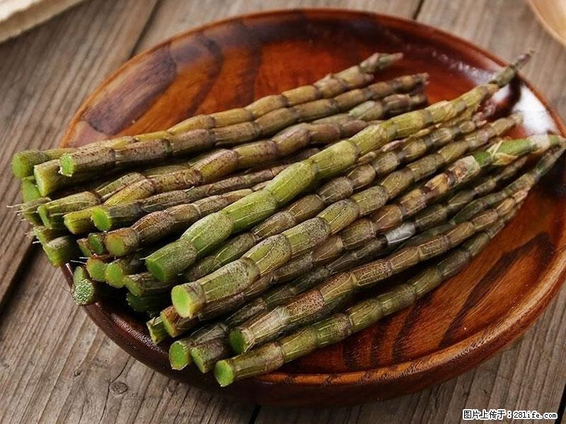 铁皮石斛的作用与功能主治 - 襄樊生活资讯 - 襄樊28生活网 xf.28life.net