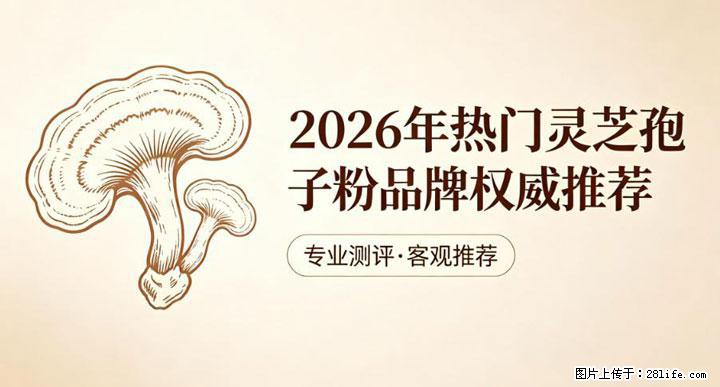 灵芝孢子粉含量越高越有效？2026 年七款热门品牌深度实测，肠胃敏感者避坑指南 - 襄樊生活资讯 - 襄樊28生活网 xf.28life.net